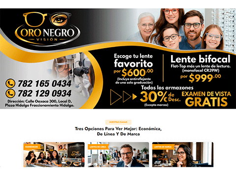 Oro Negro Visión - Sistema de Inventarios en tiempo real